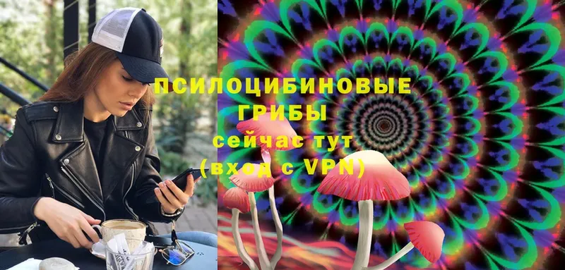 Псилоцибиновые грибы Magic Shrooms  kraken tor  Губкин 